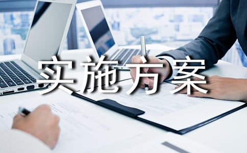 �Ͷ������ʵʩ����