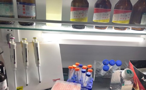 2022实验室工作计划