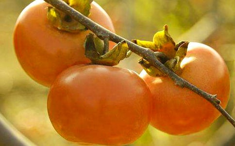 ���ӱ���Ӫ����ֵ