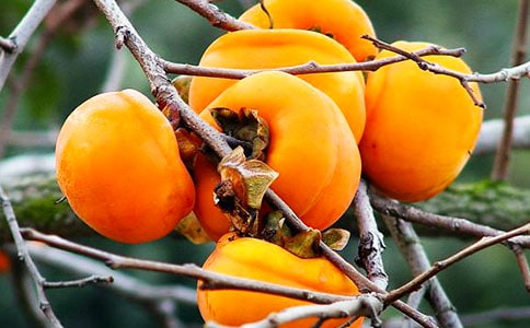 ������졶�������ˡ����ջ����