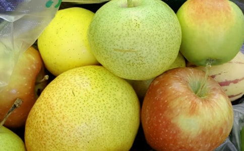 小班语言《水果歌》教案(精选11篇)