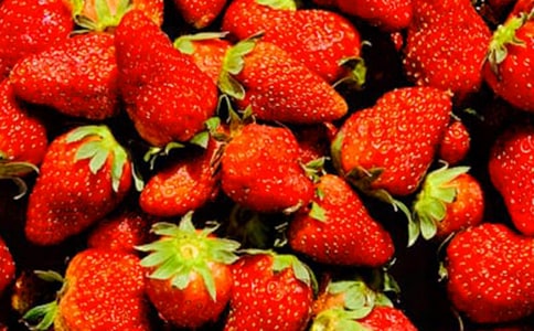 大班语言水果教案