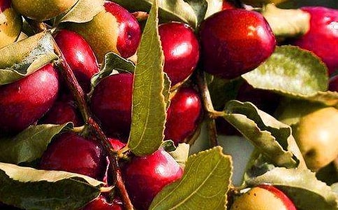 С��ˮ�������̰�