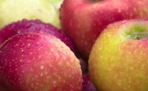 ˮ��Ԥ��������ͬ