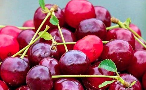 ˮ��������ͬ11ƪ������