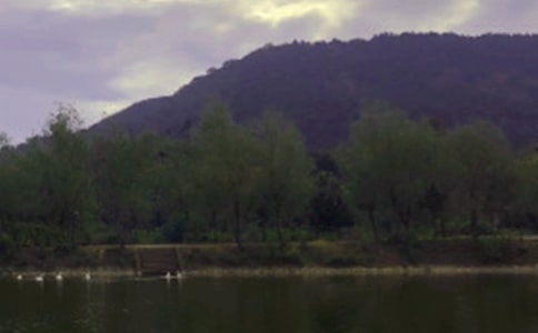 ˮ�ⰲȫ���������ƶ�