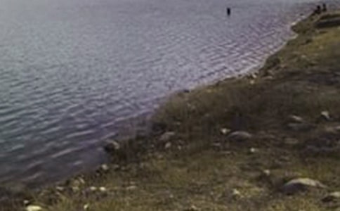 ˮ�����ֵ���ƶ�