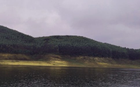 ˮ������������ܽ�