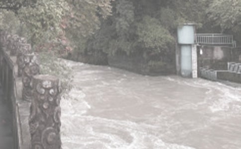 ˮ�����̼�����ȹ����ܽ�