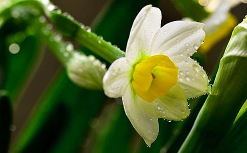 ˮ���ӡ�����ԭ�ļ�����