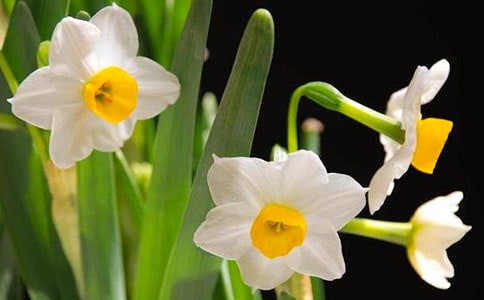 ˮ���ӡ�����ԭ�ļ�����