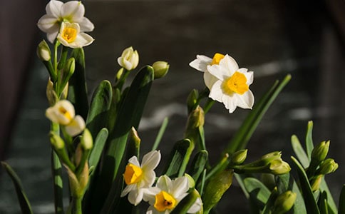 ����˼ˮ���ӡ�ҹ��ȫ�ġ�ע�͡����������_Ԫ��