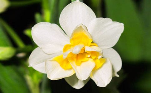 �������ˮ�ɻ���ʮ֧ԭ�ļ�����