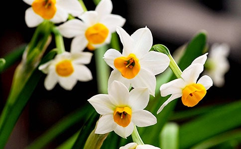 �������ˮ�ɻ���ʮ֧ԭ�ġ�����ע�ͼ�����