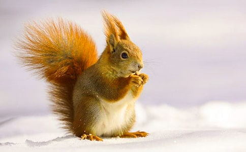 ��������Ľ̰�