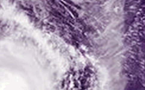 暑假大学生防台风社会实践调研报告