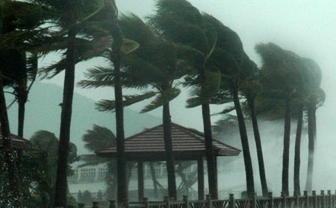 台风应急预案合集15篇