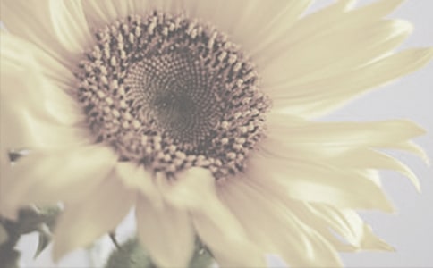 ̫�������˼