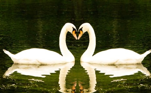 ����졷�����̰�