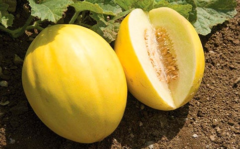 ����ϻ��˼