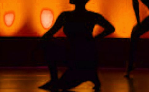 �������Ҷ�ӻ��˼