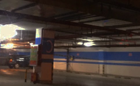 ͣ���������������