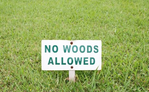 �����ڴ���ͨ��3ƪ