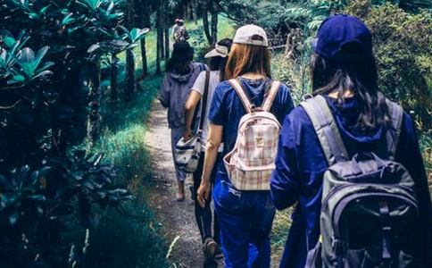 ͬѧ���߻�����(14ƪ)