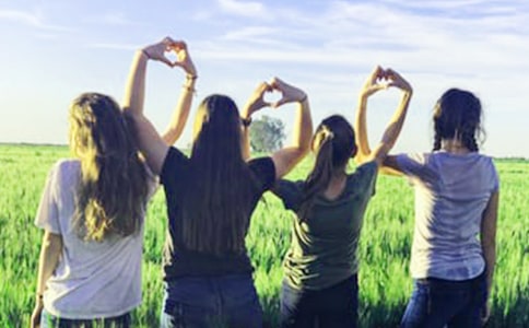 д��ͬѧ�Ľ�����