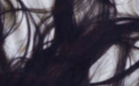 ��С��ĳ�ͷ�������꼶�̰�