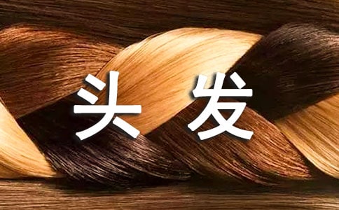 7��������ͷ������Ҫ��ʶ