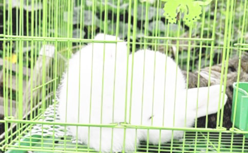 �������Ӫ����ֵ