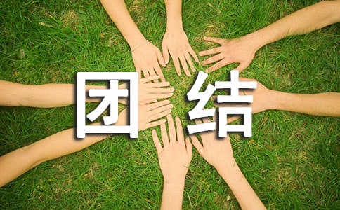 小学民族团结方案