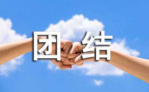 大丰小学民族团结汇报材料