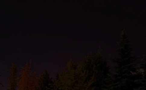 2024年简单的治愈系晚安心语语录汇编76条