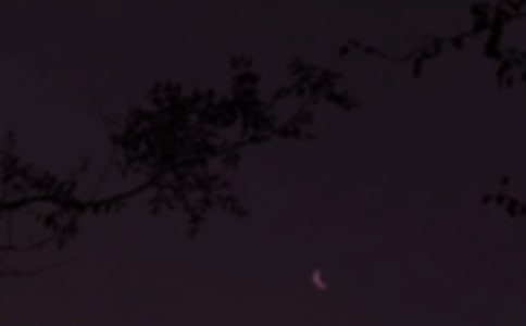 ��̵������ʺ�����¼39��