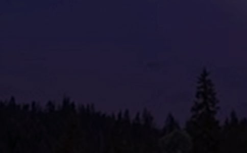 ��������Ȧ���������ѡ195�䣩