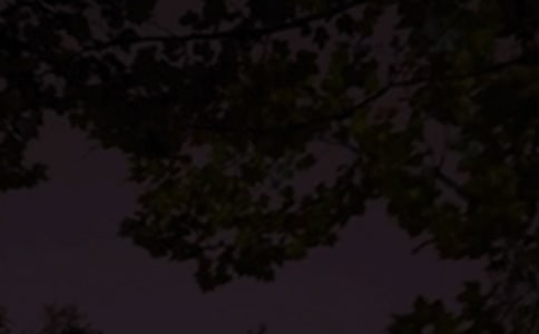 ʵ�õ�����������������¼ժ¼86��