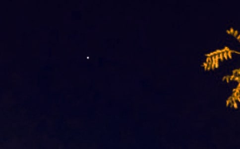 2024�곣������������¼����37��