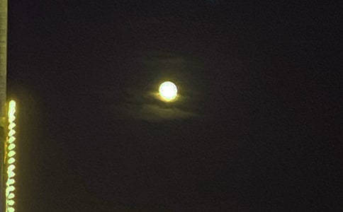 ��������������������¼����80��