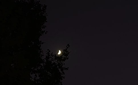 �й�Ψ��������������¼��ϼ�78��