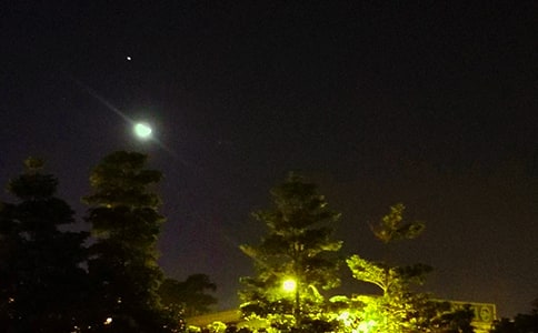 �����š�����ϵ�����ʺ�����¼ժ¼50��