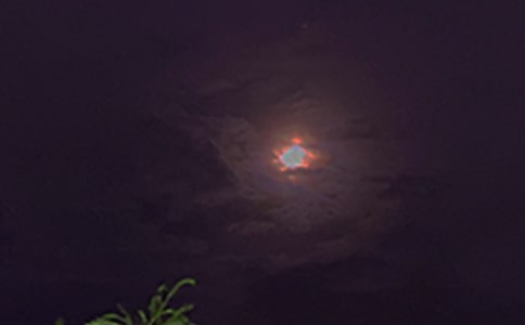 ��̵���ܰ������������¼ժ¼87��