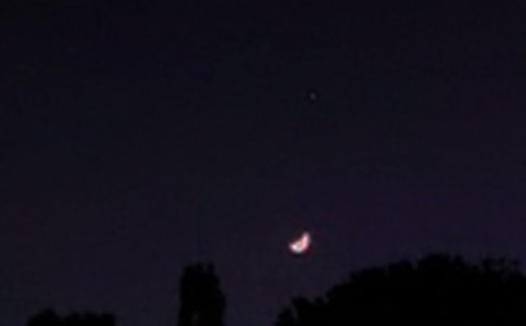 �򵥵����õ�����������¼ժ¼36��