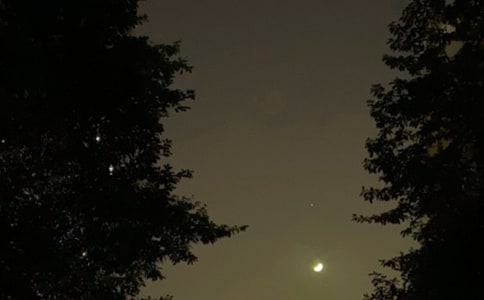 2024��������õ�����������¼����56��