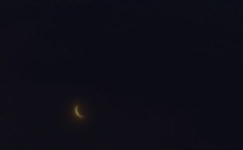 ������ܰ������������¼37��