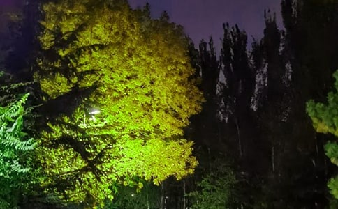 ���������ȫ110��