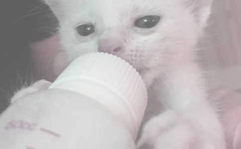 ����ҹ��ι�̱�ѧ��ʶ