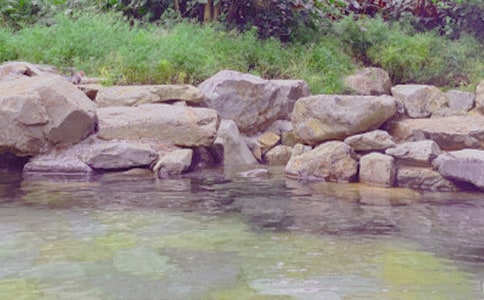 ��Ȫ��Ŀ���뱨��