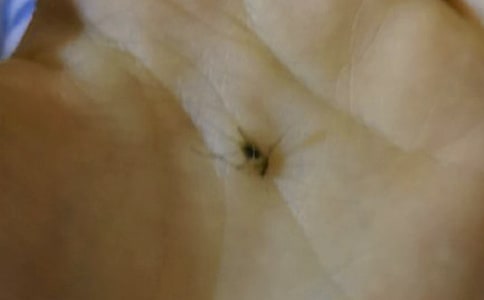 �ļ�����������С��ʶ